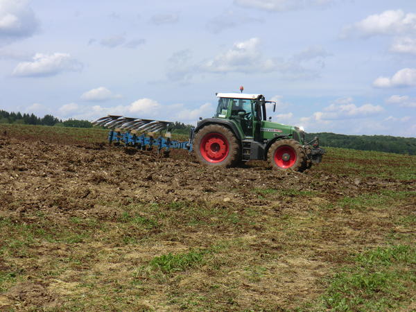 CIMG8006.jpg