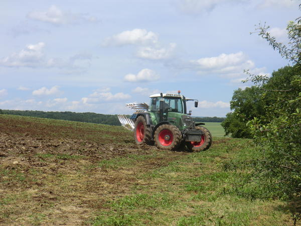 CIMG8007.jpg