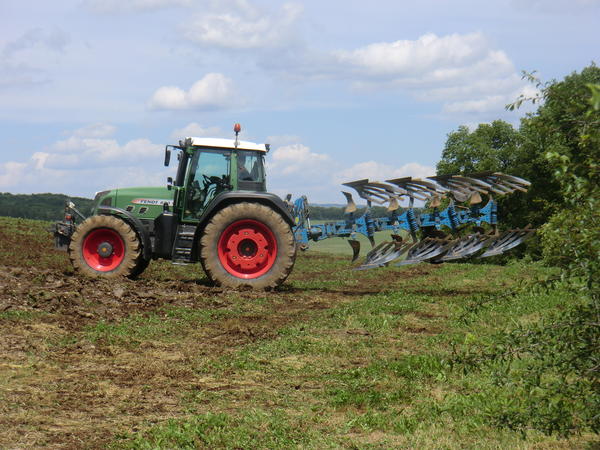 CIMG8009.jpg