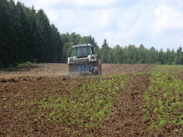 CIMG8012.jpg
