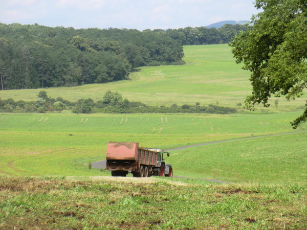 CIMG8018.jpg