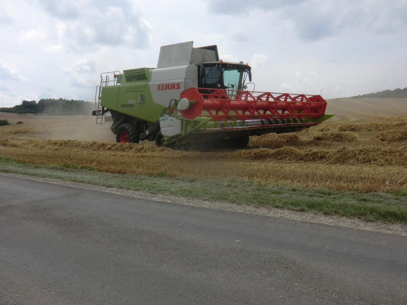 CIMG7425.jpg