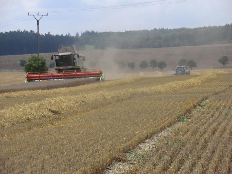 bilder/19_6_2005/fendt_716_9.jpg