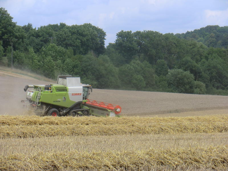 bilder/15_7_2012/2012-07-15153226..jpg