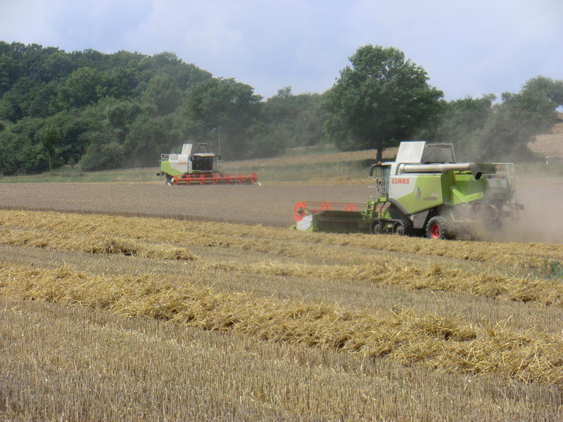 bilder/7_7_2014_2/CIMG7172.jpg