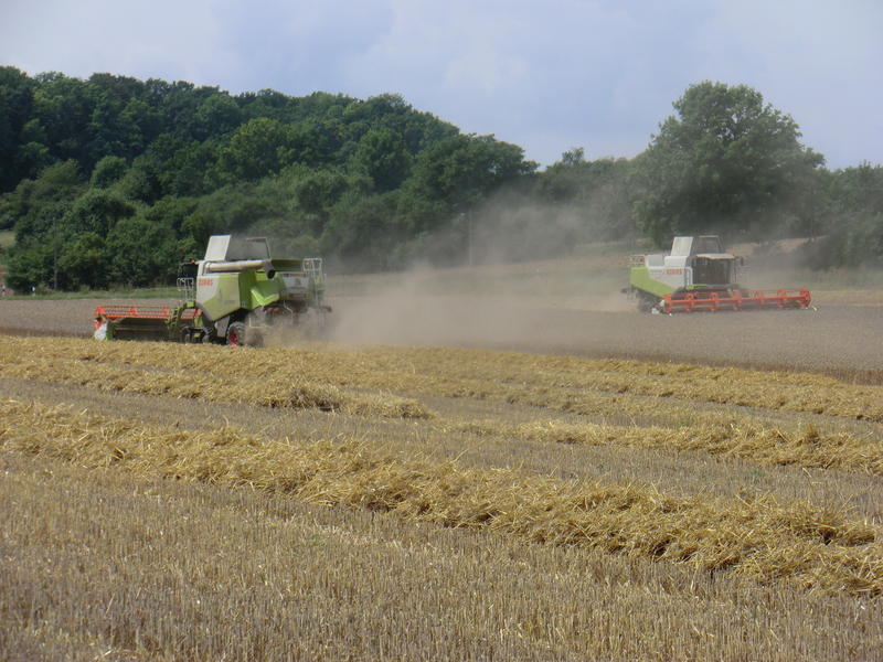 bilder/29_5_2005/fendt_818_7.jpg