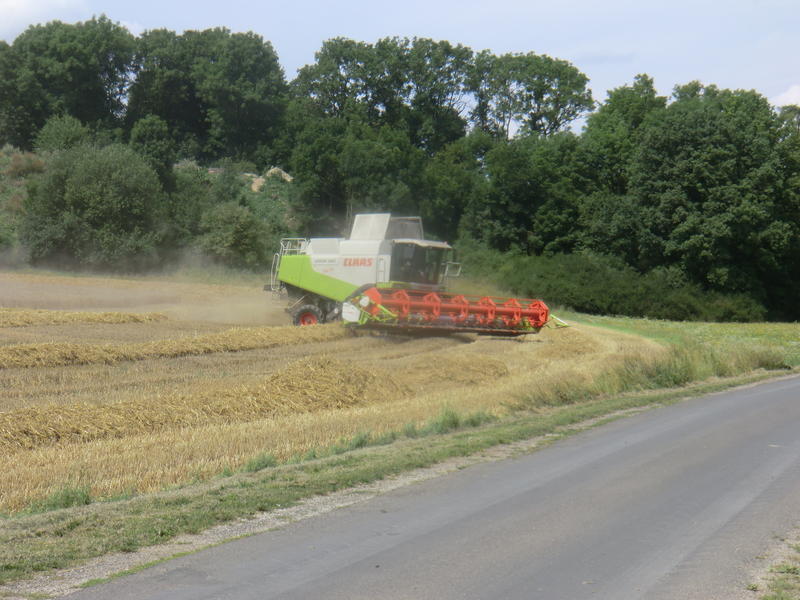 bilder/1_8_2017/DSC09535.jpg