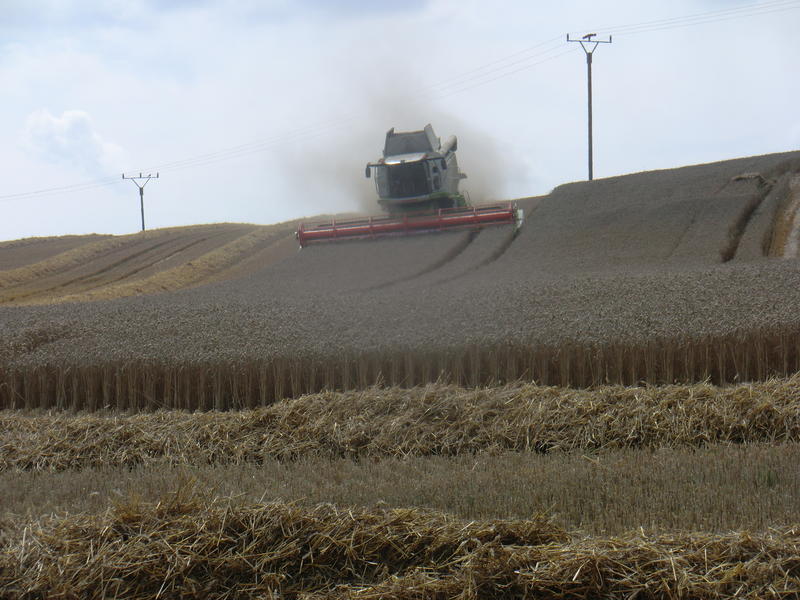 bilder/15_7_2011/CIMG3046.jpg