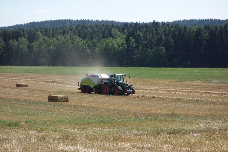 bilder/3_6_2007_2/P1010801.jpg
