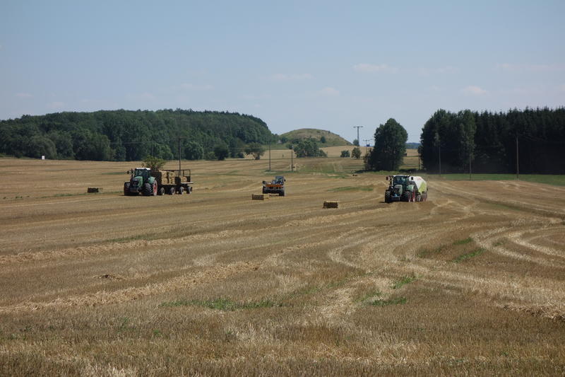 bilder/7_8_2009/IMGP7280.jpg