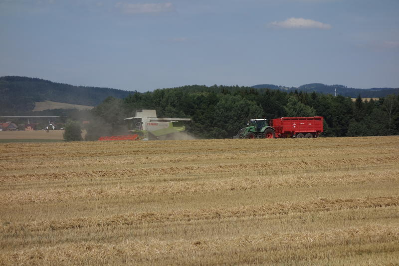 bilder/8_10_2014/CIMG8261.jpg