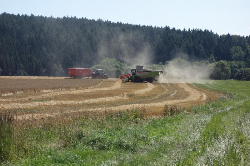 bilder/2024_07_20_2/DSC08478.jpg