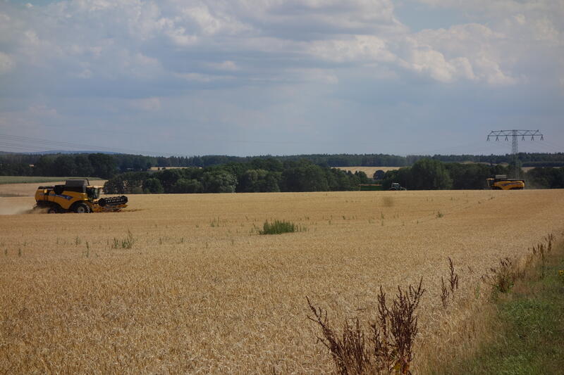 DSC03107.jpg