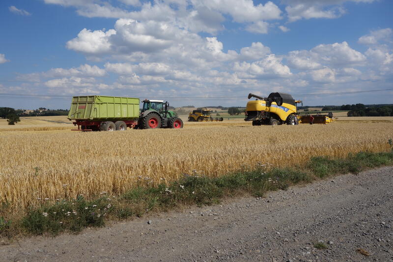 bilder/20_8_2003_2/jaguar_fendt_4.jpg