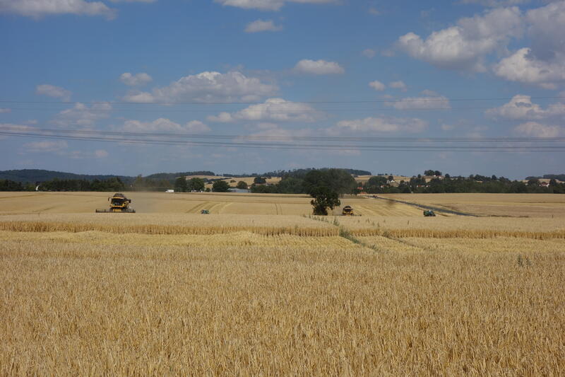 DSC03140.jpg