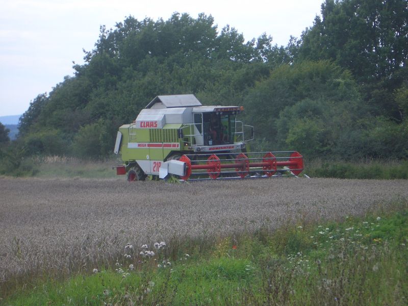IMGP4873.jpg