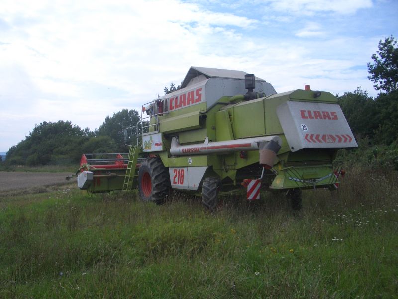 IMGP4876.jpg