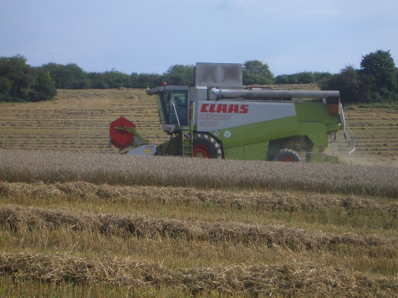 IMGP4911.jpg