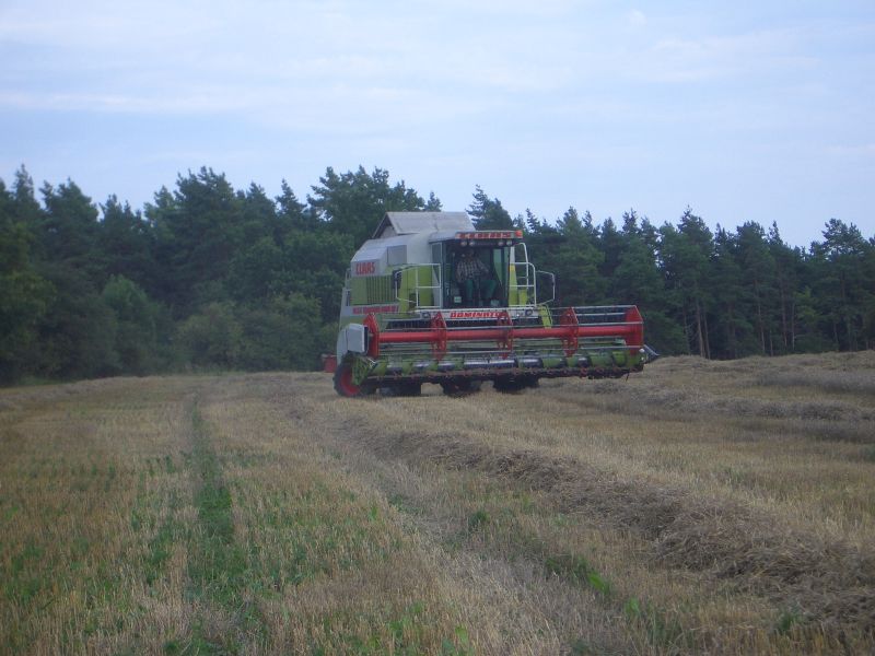IMGP4975.jpg