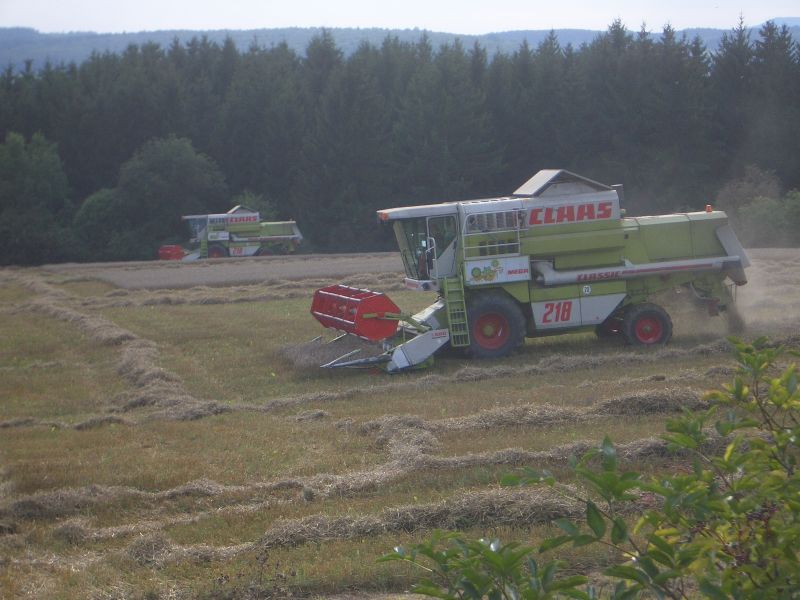 IMGP4990.jpg