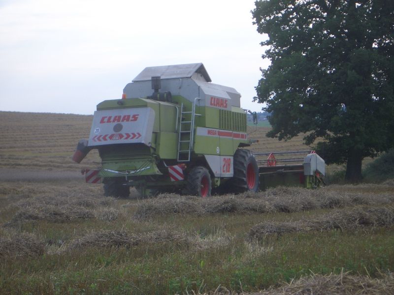 IMGP5001.jpg
