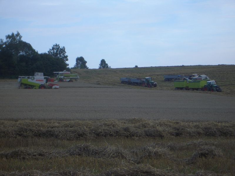 IMGP5008.jpg