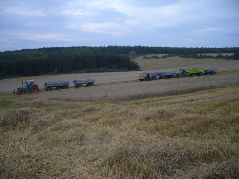 IMGP5018.jpg