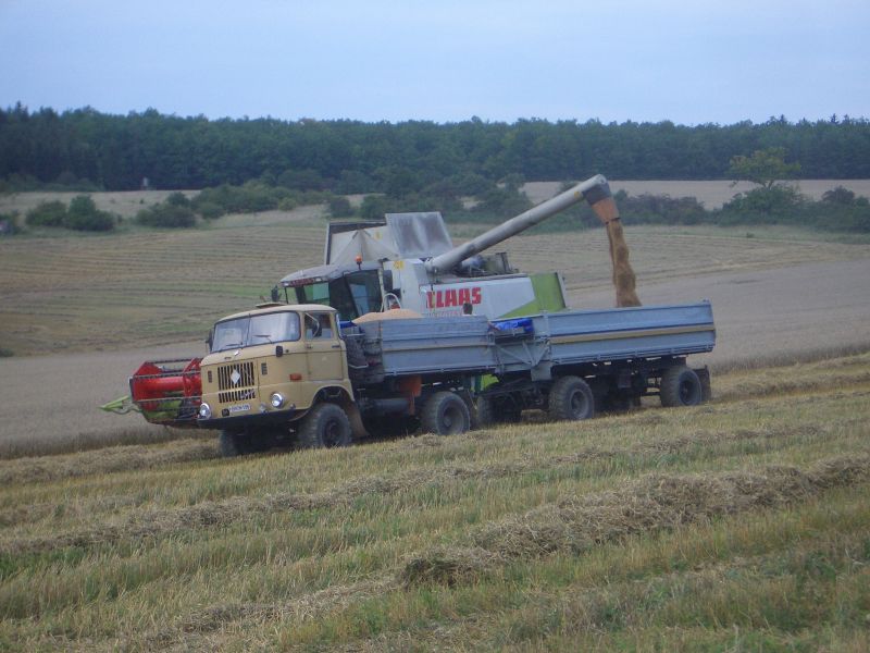 IMGP5045.jpg