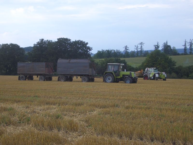 bilder/9_4_2002/terra_gator_3.jpg
