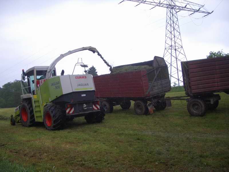 jaguar_fendt_824_10.jpg