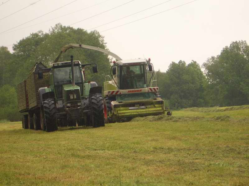 jaguar_fendt_824_11.jpg