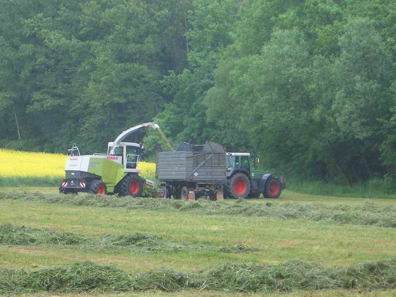 jaguar_fendt_824_12.jpg