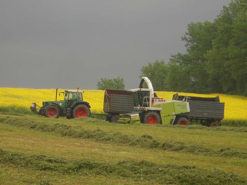 jaguar_fendt_824_13.jpg