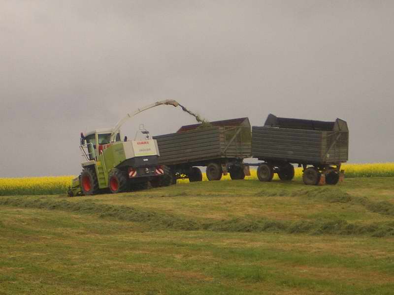 jaguar_fendt_824_14.jpg