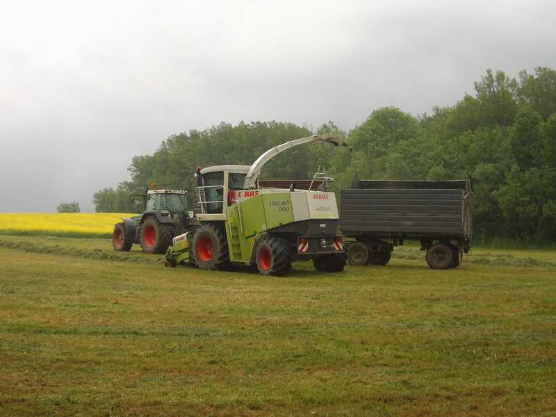 jaguar_fendt_824_17.jpg
