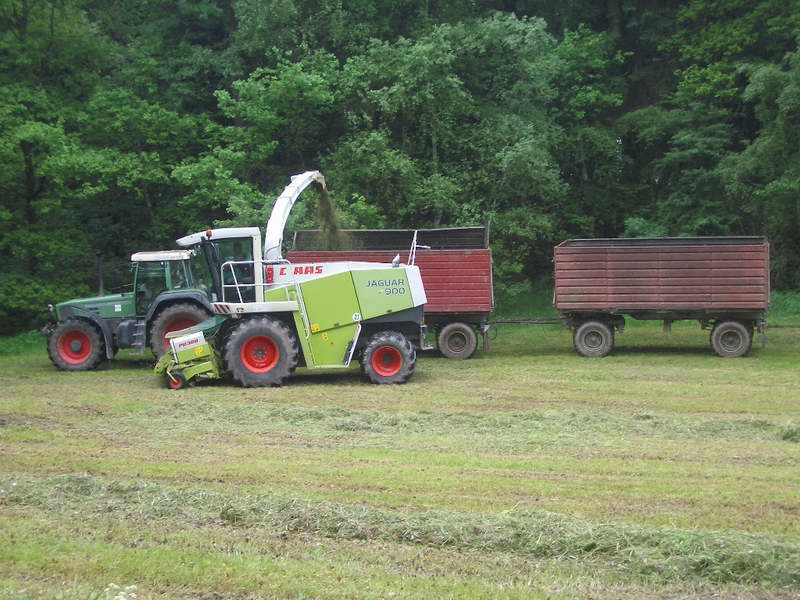 bilder/30_5_2005/jaguar_fendt_824_4.jpg