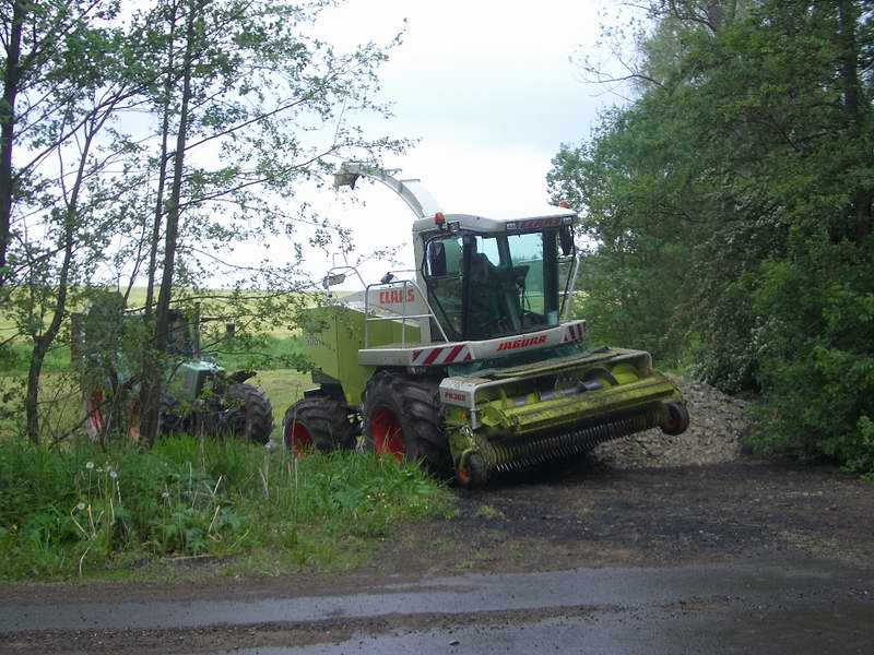 jaguar_fendt_824_8.jpg
