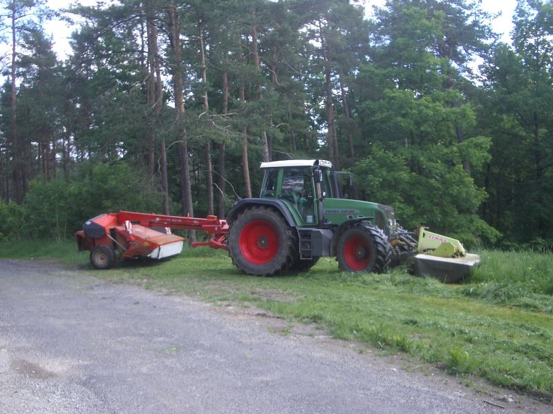 IMGP9686.jpg