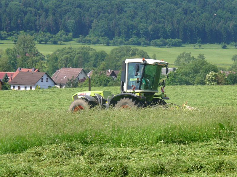 bilder/30_5_2007/P1010193.jpg