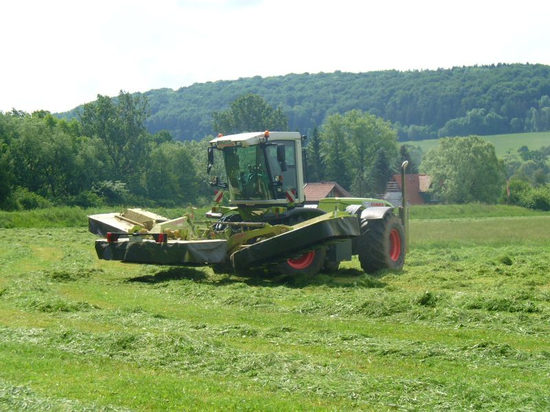 bilder/26_7_2016/DSC05090.jpg