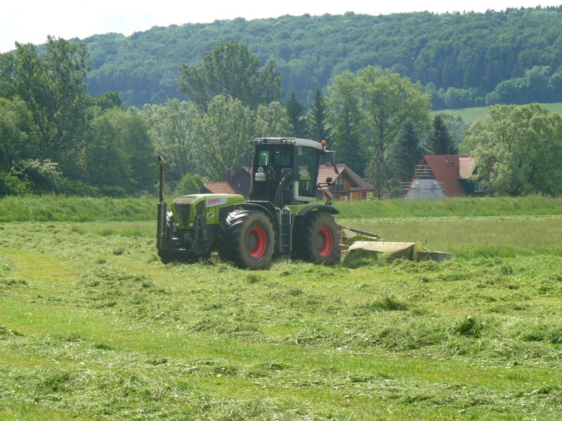 bilder/25_6_2004/zt_303_7.jpg