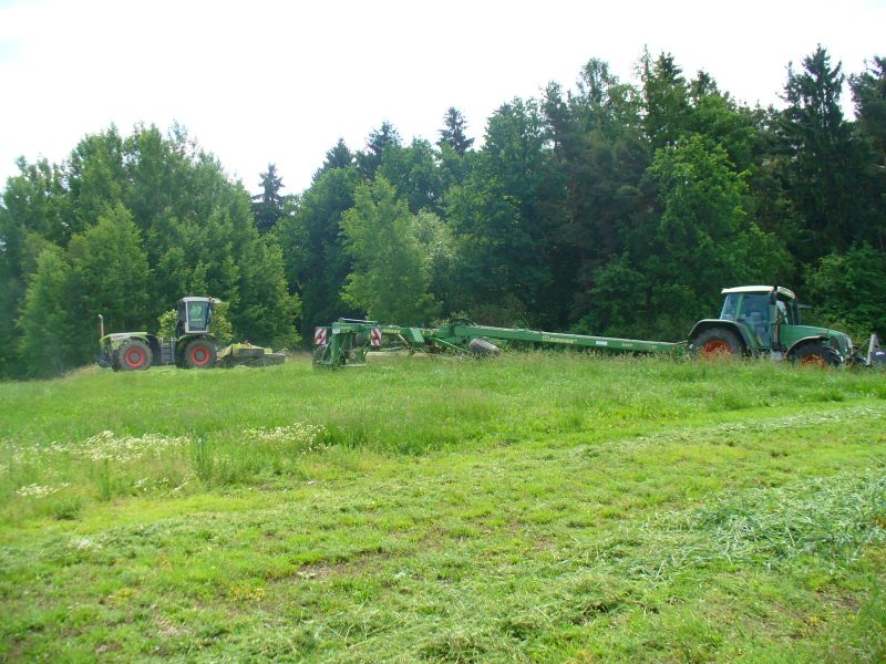 P1010213.jpg