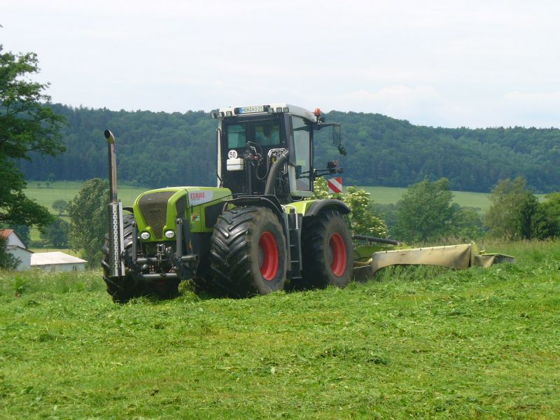 bilder/30_5_2007/P1010224.jpg