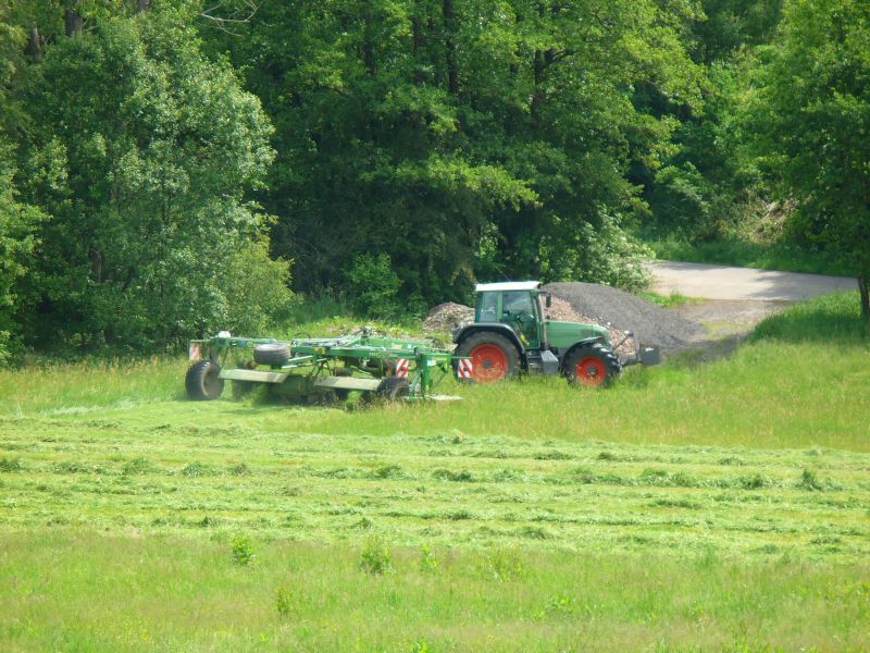 bilder/30_5_2007/P1010268.jpg