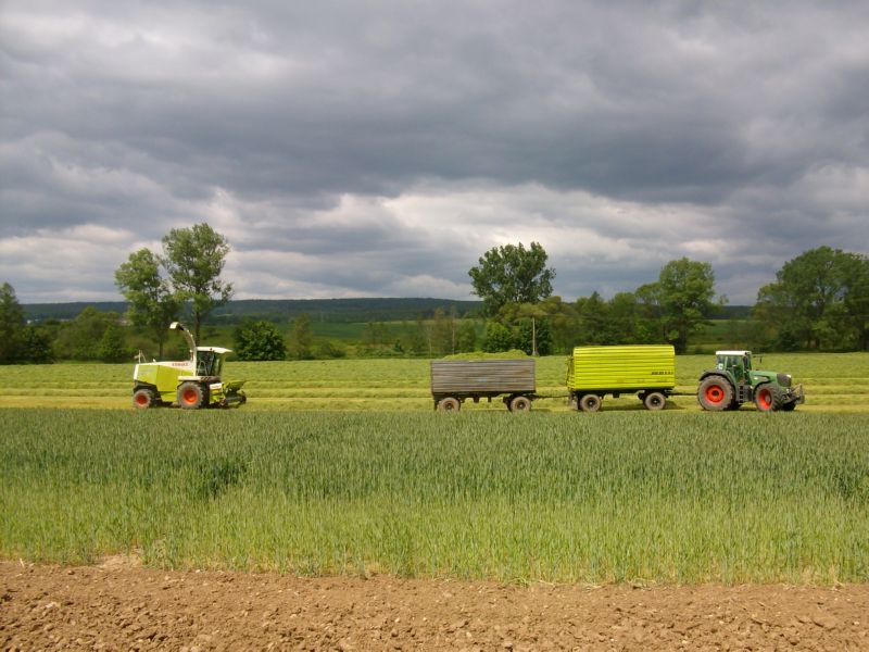 bilder/31_5_2003/fendt_824_2.jpg