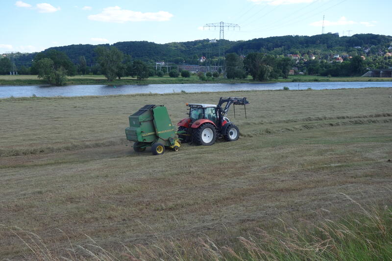 bilder/6_6_2014/CIMG3219.jpg