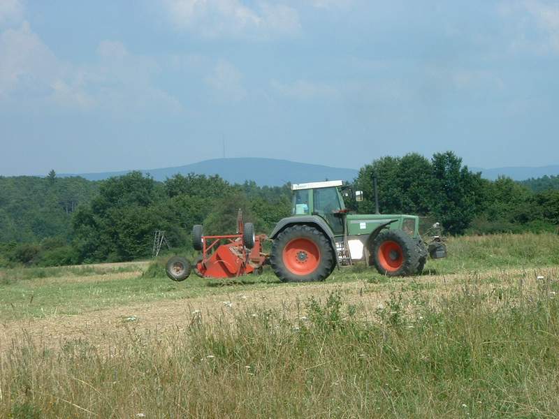 bilder/9_8_2006/IMGP4209.jpg