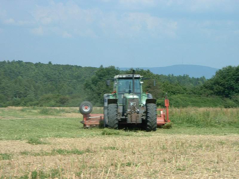 bilder/30_7_2002/fendt_824_5.jpg