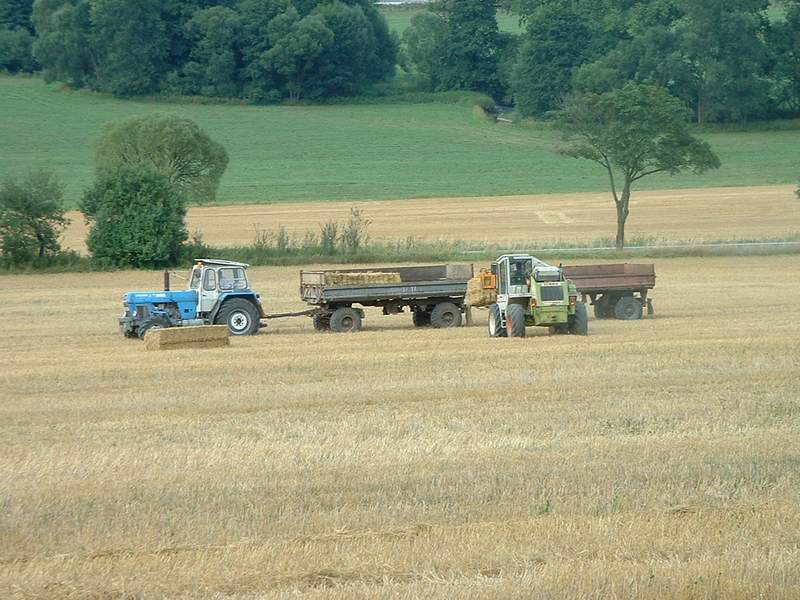 bilder/25_6_2002/fendt_716_4.jpg