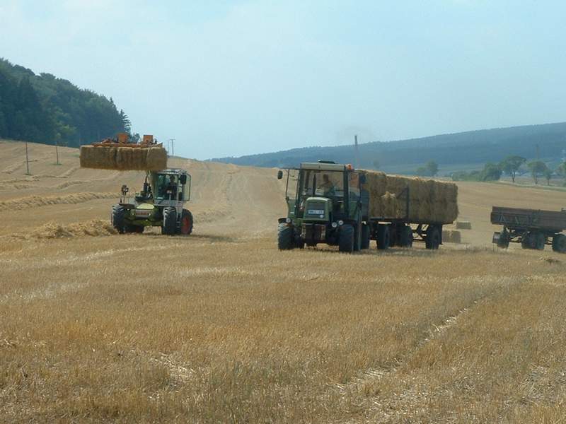 ranger_zt_323_5.jpg